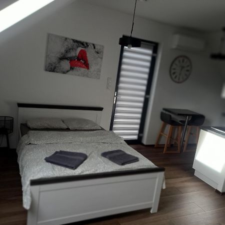 Apartament Muzyczny Jelenia Gora Dış mekan fotoğraf