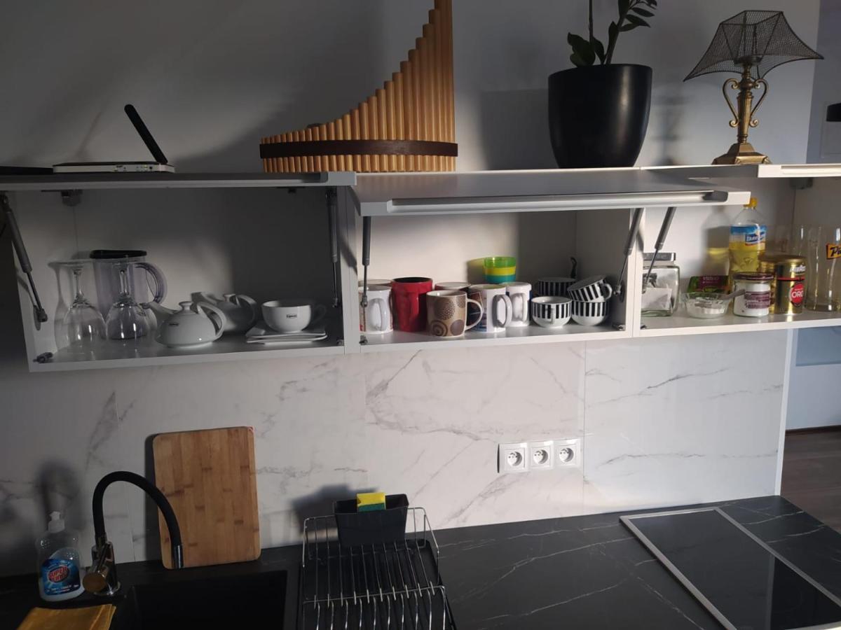 Apartament Muzyczny Jelenia Gora Dış mekan fotoğraf
